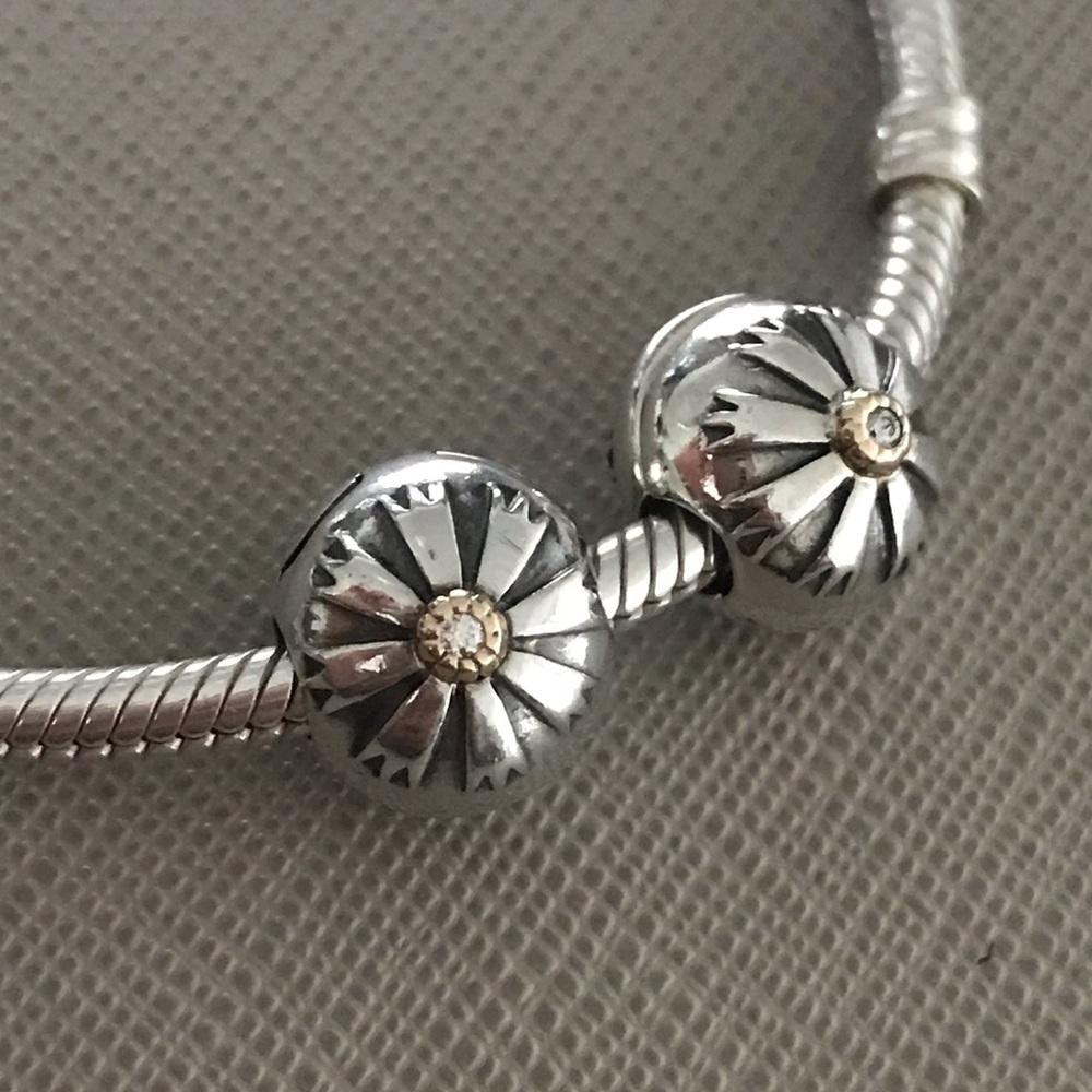Pandora retired two tone clip charms